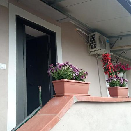 A Casa Di Nonna Anna Villa Ercolano Eksteriør bilde