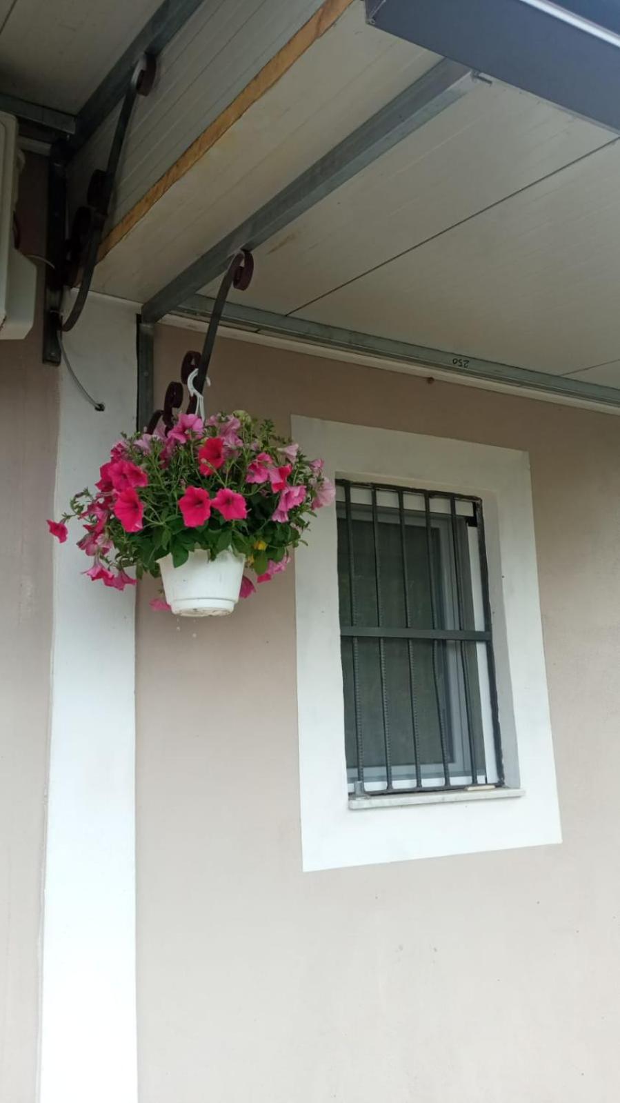 A Casa Di Nonna Anna Villa Ercolano Eksteriør bilde